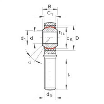 FAG Germany Rod ends - GAKR18-PW