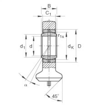 FAG Germany Hydraulic rod ends - GK70-DO