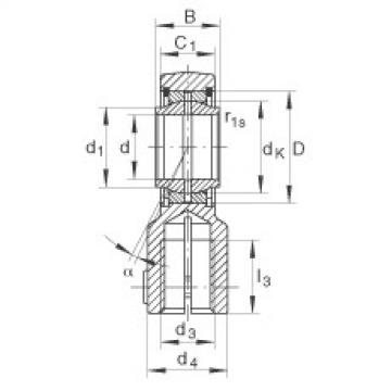 FAG Germany Hydraulik-Gelenkk&ouml;pfe - GIHNRK20-LO