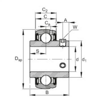 FAG Germany Radial insert ball bearings - SUC205