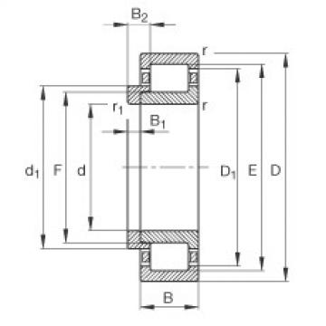 FAG Germany Cylindrical roller bearings - NJ204-E-XL-TVP2 + HJ204-E