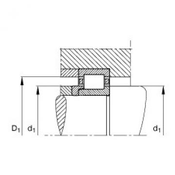 FAG Germany Cylindrical roller bearings - NJ219-E-XL-TVP2 + HJ219-E