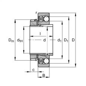 FAG Germany Self-aligning ball bearings - 1309-K-TVH-C3 + H309