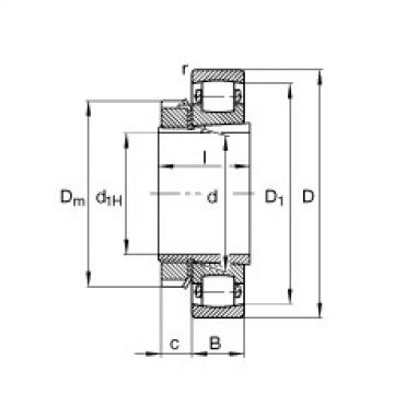 FAG Germany Barrel roller bearings - 20228-K-MB-C3 + H3028