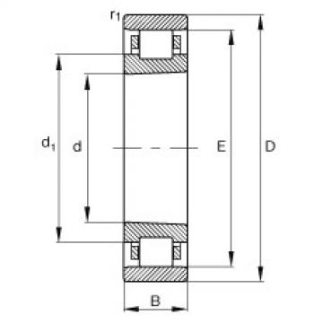 FAG Germany Cylindrical roller bearings - N1036-K-M1-SP