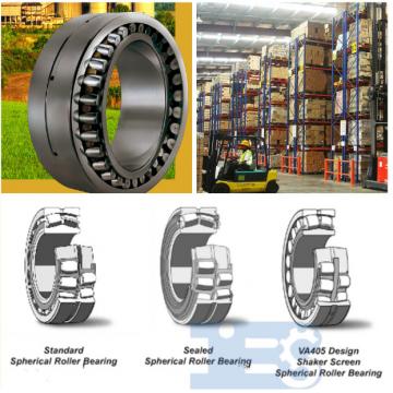  248/1180-B-MB Shaker Screen Bearings SKF