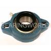 SAFTD204-12G NN4960 Double row cylindrical roller bearings NN4960K New 3/4&#034; Eccentric Locking Bearing with 2 Bolt Ductile Flange