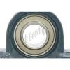 FYH FCDP160216750/YA6 Four row cylindrical roller bearings Bearing NAPK205-15 15/16&#034; Pillow Block with eccentric locking collar 11149