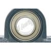FYH FCDP170230840/YA6 Four row cylindrical roller bearings Bearing NAP201 12mm Pillow Block with eccentric locking collar Mounted 11106 #8 small image