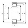 FAG Germany Cylindrical roller bearings - NJ203-E-XL-TVP2