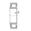 FAG Germany Cylindrical roller bearings - NJ203-E-XL-TVP2