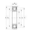 FAG Germany Cylindrical roller bearings - SL182936-XL