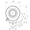 FAG Germany Hydraulic rod ends - GK40-DO