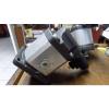 NEW Bosch Rexroth  Hydraulic Gear Pump 0511 625 022 SOLO FD987 #8 small image