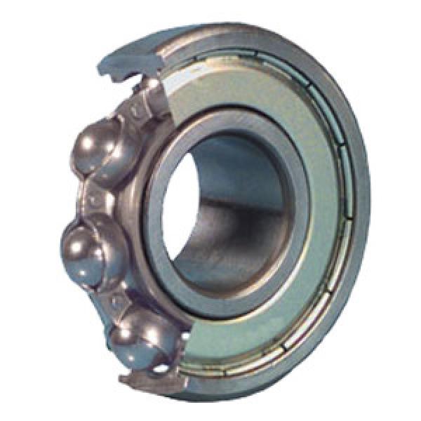  6018ZP6 Precision Ball Bearings #1 image