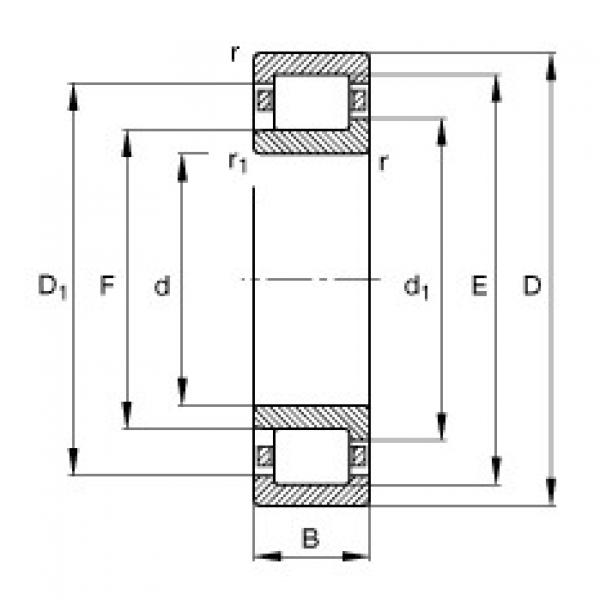 FAG Germany Cylindrical roller bearings - NJ206-E-XL-TVP2 #1 image