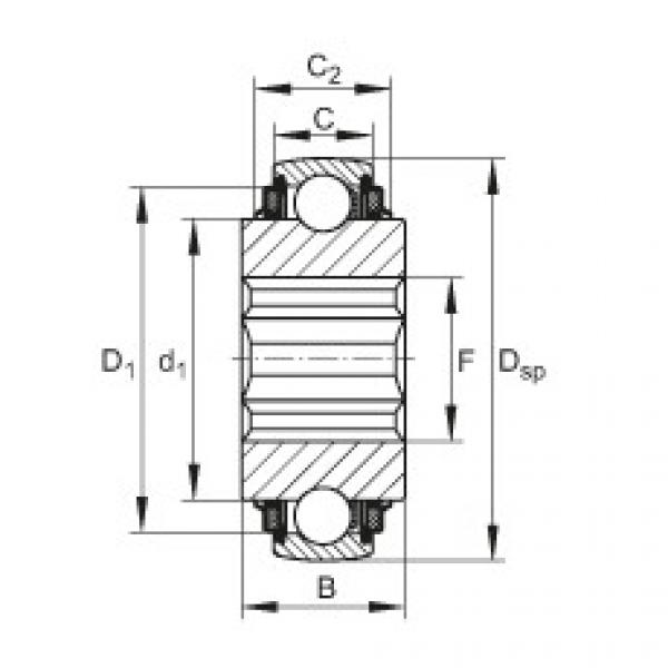 FAG Germany Self-aligning deep groove ball bearings - SK104-207-KTT-B-L402/70 #1 image