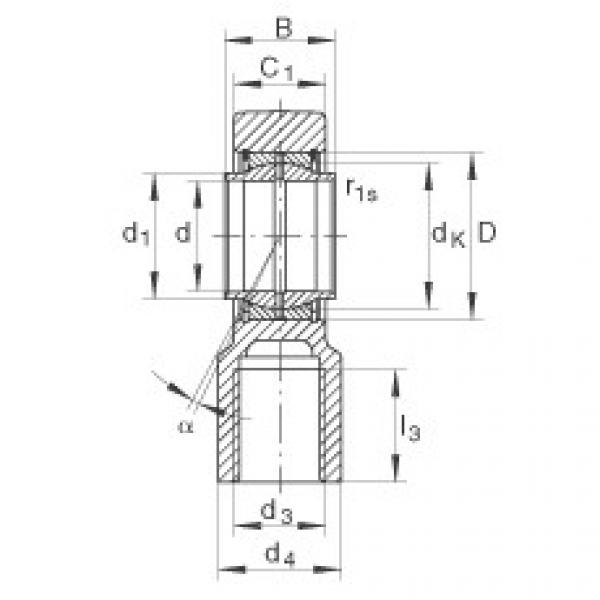 FAG Germany Hydraulic rod ends - GIHNRK100-LO #1 image