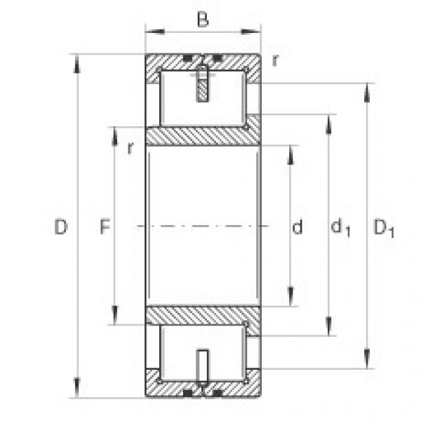 FAG Germany Cylindrical roller bearings - LSL192316 #1 image