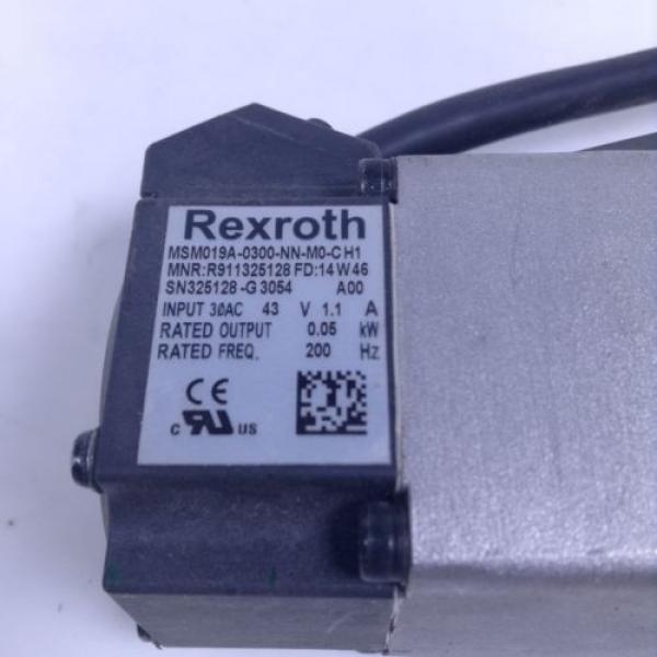 Rexroth MSM019A-0300-NN-M0-CH1 Servo Motor R911325128 MSM019 UMP #5 image