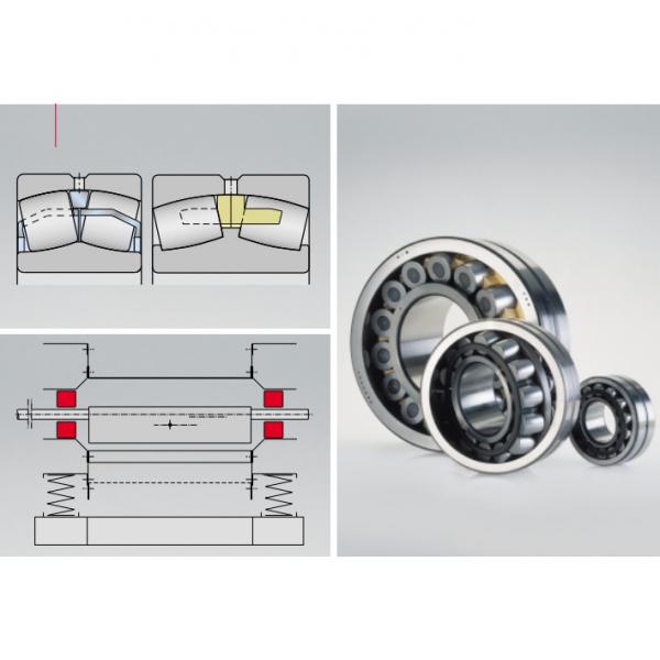  230/530-BEA-XL-K-MB1 Shaker Screen Bearings SKF #1 image