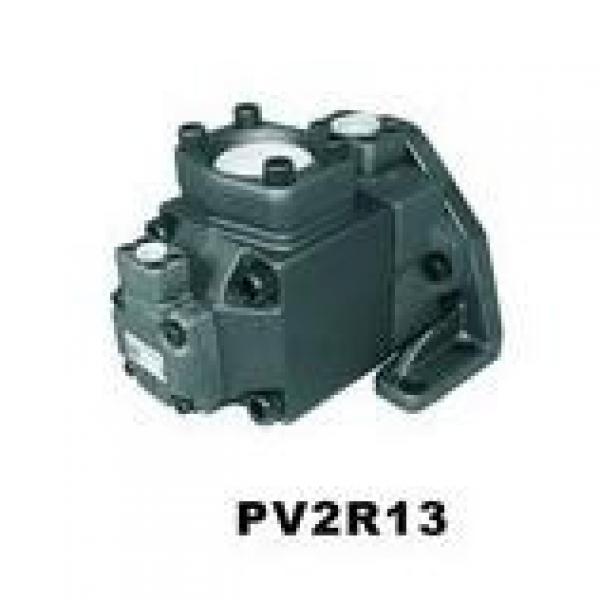  USA VICKERS Pump PVH057L01AA10B25200000100100010A #1 image