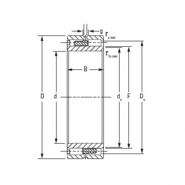  NNU40/530MAW33 TIMKEN #1 image